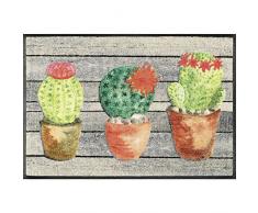 Wash&Dry Jardin de Cactus Zerbino, Acrilico, Bunt, 50 x 75 x 0.7 cm