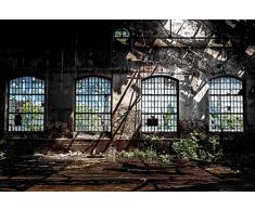 Scenolia Carta da Parati Poster panoramico Decorativo Industriale 4Â x 2,70Â m | Decorativo e Foto Parete XXL qualitÃ HD