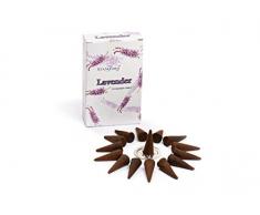 Stamford Lavanda Coni Incenso