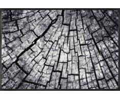 Wash+Dry Timber Zerbino, Acrilico, Grau, 50 x 75 x 0.7 cm