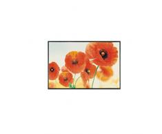 Tappetino wash + dry, Superficie: 100% Poliammide, Rosso, 50/75