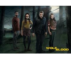 GB occhio Wolfblood-Sangue di lupo Stagione 3 Fusioni Maxi poster, multi-colore