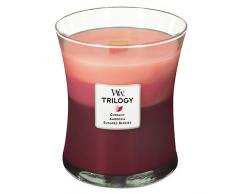 Woodwick Candela Trilogy in Giara di Vetro Media, Profumata Tentazione di Frutta, Rosso Chiaro-Rosso Scuro, 10X11 Cm