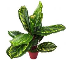 Geko 50cm 1 pezzo artificiale medio Calathea Veitchiane pianta