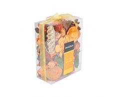 Sentiflore 6DPO031 - Vaso, Colore: Arancione