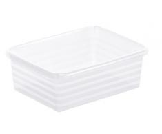 Rotho 1719100096 Cesto Linus in plastica, Scatola di stoccaggio Trasparente