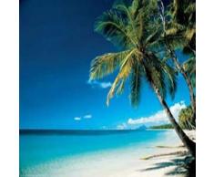 Empire 18144 Spiagge Mattina Poster per Porta XXL 91.5 cm x 61 cm