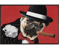 Wash&Dry Salvatore Zerbino, Acrilico, Rot, 50 x 75 x 0.7 cm