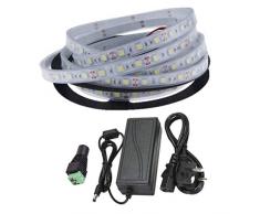 Risparmiraluz Kit striscia 12 V 5050 subacquea bianco freddo puro (6000-6500k) + trasformatore 5 A impermeabile (5 metri, 300 LED, 60 LED/m, IP67), freddo