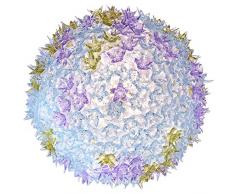 Kartell Bloom C1 Lampada A Soffitto, Confezione da 1 Pezzo, Lavanda