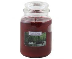 Caroline legni esotici Vaso di Vetro Rosso Candele Candela