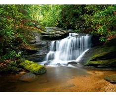 AG Design - Photo Wall Mural - Carta - Cascata - Foto Sfondo - Poster Gigante con Parete - 360 x 254 cm - 4 Parti - FTS 0478