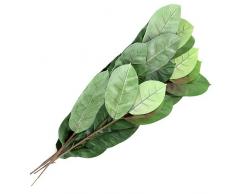 Euro Palms 82508303 - Pianta artificiale, 100 cm