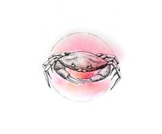 Komar Crab Watercolor - Immagine da Parete in 3 Misure, per Soggiorno, Camera da Letto, Decorazione, Schwarz, Weiß, Rosa, P080B-30x40