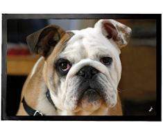 1art1 Cani - Bulldog Inglese Zerbino (60 x 40cm)