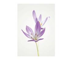 Komar - Quadro da Parete con Immagine di Coccodrillo in Autunno, per Soggiorno, Camera da Letto, Decorazione, Stampa Artistica, Disponibile in 3 Misure, Lilla, Weiß, Grün, P068-30x40