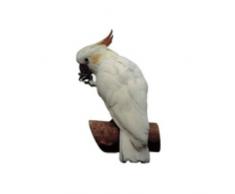 World Stickers schwandt casa animale necessità di 12303 4 pezzi circa 80 X 80 mm per Warnschild kakkadu