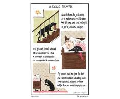 Samuel Lamont - Strofinaccio, Taglia Unica, Multicolore