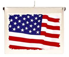 Capricci Italiani Lampada Quadro a Sospensione da soffitto Bandiera Stati Uniti