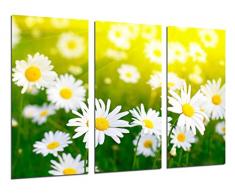 Quadro Su Legno, Paesaggio Campo di margherite, fiori, 97 x 62cm, Stampa in qualita fotografica. Ref. 26505