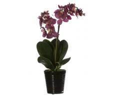 Creative Living - Orchidea Phalaenopsis artificiale dallaspetto realistico con vaso rigato in ceramica di colore nero, 35 cm, colore: Fucsia