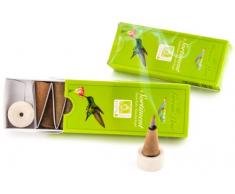Berk HS-GK-P2-2 x Coni di incenso, Linea Verde