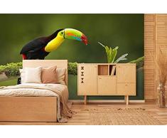 Oedim - Dipinto per Parete Tucano | Fotomurale per pareti | Carta da Parati | 500 x 300 cm | Decorazione da Sala da Pranzo, Soggiorno, Camera