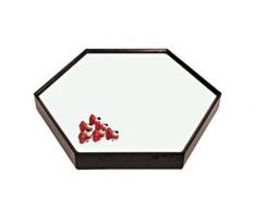 APS 41871-01 Specchio Esagono, Acrilico