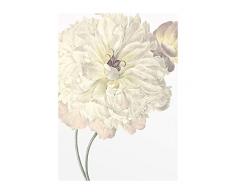 Komar - Quadro da Parete con Immagine di Dalia in 3 Misure, per Soggiorno, Camera da Letto, Decorazione, WeiÃ, Lilla, Grün, P063-30x40