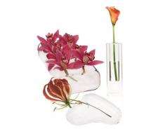 Chive vasi di Vetro, Starter Kit, Trasparente, Set di 3