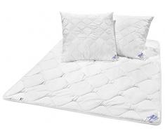 Traumnacht 3-Star Set, Biancheria da Letto, Mono, Microfibra, bianco, 220 x 240 cm e 2x cuscino 80 x 80 cm