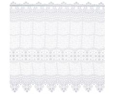 Plauener Spitze by Modespitze, Tendina Decorativa, Altezza 58 cm, Bianco (WeiÃ), Larghezza: 93 cm