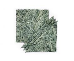 FOONKA Tovaglioli in Cotone HEU 36 x 36 cm, Set da 4 Pezzi, 100% Cotone, Grigio e Verde