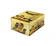 KANGURU Lavatelli Scatola in Cartone, Multicolore, 32Â x 42Â x 21Â cm