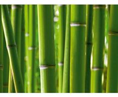 AG Design - Photo wall mural - Carta - Bambù - Foto sfondo - Poster gigante con parete - 360 x 254 cm - 4 parti - FTS 0170