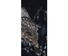 ID PeelitStickit-225, 60 x 130 cm, Altezza Owl, Alta qualitÃ , con Adesivo da Parete, in Vinile