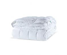 Penelope Bedroom UK Termolite, Cuscino antiacaro, Anallergico, Bianco, 200x200