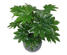 Pianta artificiale giapponese Aralia Evergreen, vaso in plastica, 60 cm, colore: nero