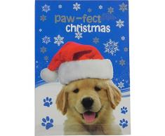 PMS 2ASSTD - Biglietti di Natale in Confezione Regalo in PVC