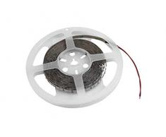 EUROLITE 50530109 Striscia 300 LED, 5 M, 3528, 4000 K, 12 V, Multicolore, Taglia Unica