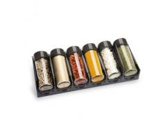 Tescoma Portaspezie per la Stagione cassetto 6Â pc, Antracite, Colori Assortiti