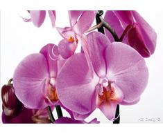 AG Design - Photo Wall Mural - Carta - Orchidea Viola Grande - Foto Sfondo - Poster Gigante con Parete -360 x 254 cm - 4 Parti - FTS 0049