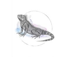 Komar - Quadro da Parete Iguana Watercolor, per Soggiorno, Camera da Letto, Decorazione, Stampa Artistica, Disponibile in 3 Misure, Schwarz, WeiÃ, Rosa, Blau, P077B-40x50