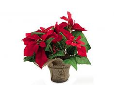 Galileo Casa Natale Albero, Stoffa, Multicolore, 30x20x30 cm