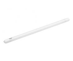 Samsung SI-L8T17212CEU Tubo LED G13 1.00 mm
