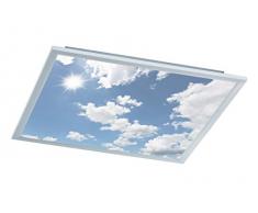 Wofi 9693.01.70.6600 Plafoniera da soffitto con luce a LED, in metallo, con lampadina da 44Â W integrato, dimensioni: 600Â x 55Â x 600Â cm, colore: argento