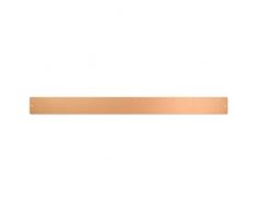 first4magnets Rettangolare Grande Lavagna Magnetica Striscia/C/W 12 magneti - Rame (700 x 60 mm), Argento