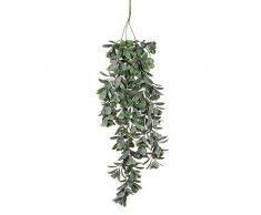 MICA Decorations mihi 1021018 Sula haengend â L79 cm pianta artificiale, plastica, verde, 79 x 20 x 20 cm