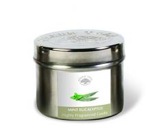 GREEN TREE CANDLE 0805460312546Â eucalipto Menta Candela profumata