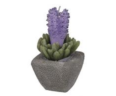 Out of the blue Candela, Lavanda in vasetto di Cemento, Multicolore, 12, 5 cm